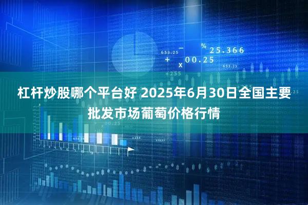 杠杆炒股哪个平台好 2025年6月30日全国主要批发市场葡萄价格行情